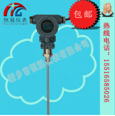  射頻導(dǎo)納液位計的工作原理如何？